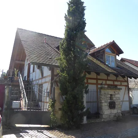 Weisse Rose Weil am Rhein